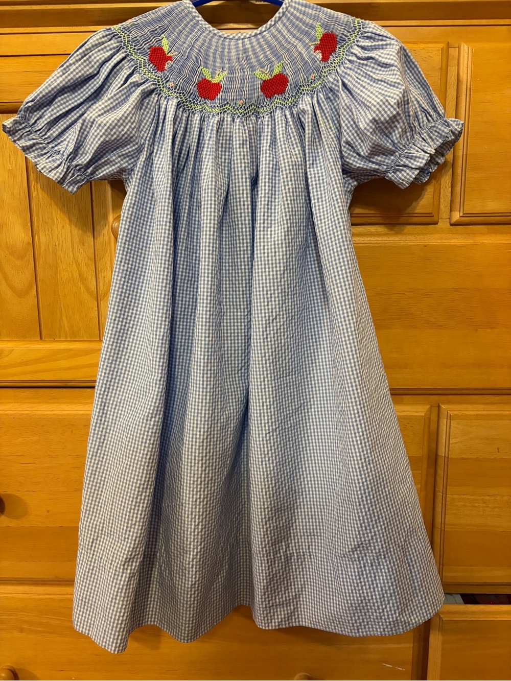 Rosalina Collections Girls' Bishop Dress w/Apple Smocking Size 3T Back-to-School